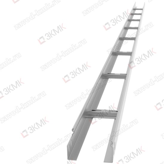 Лоток лестничный 100х50