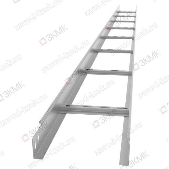 Лоток лестничный 200х65