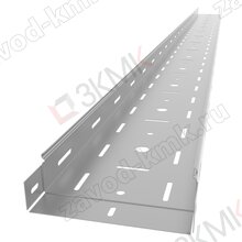 Лоток перфорированный 200х60